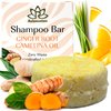 Organic Ginger Hair Growth Solid Shampoo Bar for Regrowth Hair | GINGER ROOT, CAMELINA OIL, TURMERIC, LEMONGRASS | Anti Hair Loss Shampoo, Anti-Dandruff and Anti-Itching | USA MADE (1 pack)