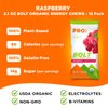 PROBAR - BOLT Organic Energy Chews, Raspberry, Non-GMO, Gluten-Free, USDA Certified Organic, Healthy, Natural Energy, Fast Fuel Gummies with Vitamins B & C (12 Count)