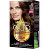 Garnier Olia Oil Powered Permanent Hair Color, 5.3 Medium Golden Brown (Packaging May Vary)