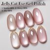 Double Rhythm Jelly Glass Cat Eye Gel Polish with Magnet 15ML Holographic Glitter Shimmer Translucent Sheer Color Magnetic Nail Polish Salon DIY at Home (Jelly Nude Gray-MC1100)