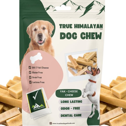 True Himalayan Yak Cheese Dog Chews Long Lasting Odor Free Dental Chews for Dogs, Natural Cheesy Dog Bones for Aggressive Chewers, Healthy Dog Treats (Medium, 5, Count)