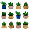 Pinenjoy 12Pcs Mini Cactus Figurines Miniature Potted Plants Resin Succulent Plant Cake Topper for DIY Dollhouse Fairy Garden Bonsai Micro Landscape Decors