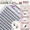 PARK SUNG HEE MIRACLE LASH DIY False Eyelashes, Lash Clusters, Lengthening Wisps 9mm-16mm Contact Lens Friendly, Easy to Apply, Reusable Strip Lashes (E6-280, 10mm), Black