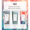 R+Co Dallas Biotin Hair Shampoo and Conditioner Set (8.5 Oz) + R+Co Bonus Deluxe Sample (.5 Oz) | Body + Shine + Smoothing for All Hair Types | Vegan + Cruelty-Free |