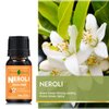 Neroli Essence Oil, Citrus Aurantium Essential Oil, Bright Refreshing Citrus Scent, 100% Natural Neroli Essence Oil, 10ml 0.33 oz, Unique Oil