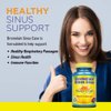 Nature's Life Bromelain Sinus Ease 1200mg with Vitamin C & Quercetin Sinus Health, Immune Function & Seasonal Support 100 Vegetarian Capsules