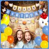 Pirese Chicken Birthday Decorations, Chicken Party Decorations, Chicken Decorations for Party | Chicken Party Supplies | Chick Party | Baby Chicken Party Decorations | Chicken Balloons | Bday Banner