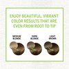 Schwarzkopf Simply Color Permanent Hair Color, 5.65 Truffle Brown