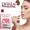 Salt Range Lip Balm, Formulated with Cherry & Shea Butter, Lip Moisturizer, Soothing and Hydrating, Deep Nourishing, Organic Chapstick - 12 Count (24 Pieces)