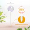 KiKiHeim 3Pcs Automatic Plant Waterer Globes, Rainbow Glass Self Watering Planter Insert Spikes, Hand Blown Water Bulbs for Indoor Outdoor Pots