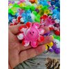 Roaqua 12 Packs Bulk octopus Fidget Bubble Mini Pop Keychain Fidget for Teens and Kids,Birthday Party Favors Supplies Summer Student Prizes Gifts
