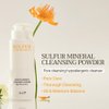 SINSURU Sulfur Mineral Cleansing Powder, Soft Exfoliating Facial Wash with plant-derived enzymes and PHA for Sensitive and Acne Skin, Korean Skincare (1.76 oz. 50g)