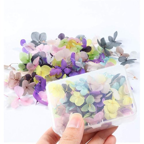 XICHEN 100 PCS Hydrangea Petals of Dry Flowers Nail Art Stickers Natural Nail Supplies Curved Tweezers with Professional