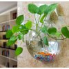 Creative Acrylic Hanging Wall Mounted Fish Tank, Hanging Bowl for Water Plants, Wall Fish Bubble Tank, Hydroponic Air Plant Flower Pot, Mini Aquarium Planter, Home Decor, Fake Plants Nail Stone Etc