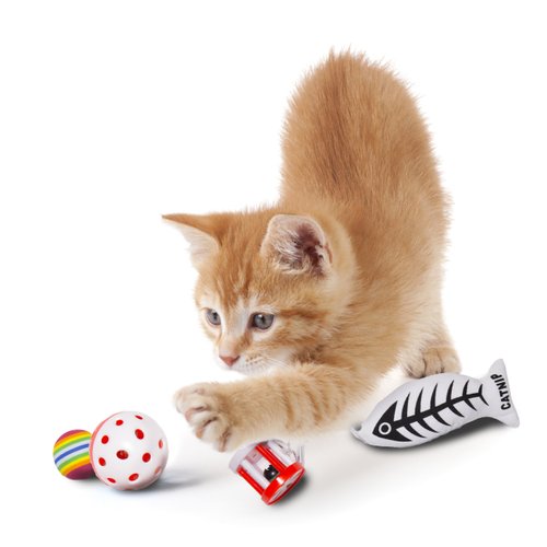 DUKES 8 Piece Cat Toy Set