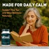 (2 Pack) Skaal Capsules - Official Skaal Tinnitus Advanced Support Supplement, Natural Skaal Pills For Overall Health & Wellness Multivitamin Supplement, Skaal Support Pills, 120 Capsules For 2 Months