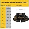 FLUORY Muay Thai Fight Shorts,MMA Shorts Clothing Training Cage Fighting Grappling Martial Arts Kickboxing Shorts Clothing