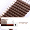Y Lashes Extensions Colored YY Lashes Premade Fans Brown Eyelash Extensions D Curl 0.07mm 8-15mm Mixed Tray Y Shape Easy Fan Volume Lashes Supplies (YY-0.07-C,Brown)