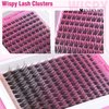 EYDEVRO Wispy Lash Clusters Kit Natural Lash Extension Kit Clear Band Cluster Lashes Eyelash Extension Kit 143 Pcs Invisible Band Eyelash Clusters With Waterproof Lash Bond and Seal and Lash Tweezers