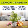 MRS. MEYER’S CLEAN DAY Lemon Verbena Cleaner Stain Removing Scent (Toilet Bowl Cleaner)