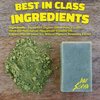 Dirt Slayer All Natural Bar Soap (3 Pack Green Tea Dropkick Mint)