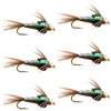 The Fly Fishing Place Bead Head Flash Back Pheasant Tail Nymph Fly Fishing Flies - Trout and Bass Wet Fly Pattern - 6 Flies Hook Size 16