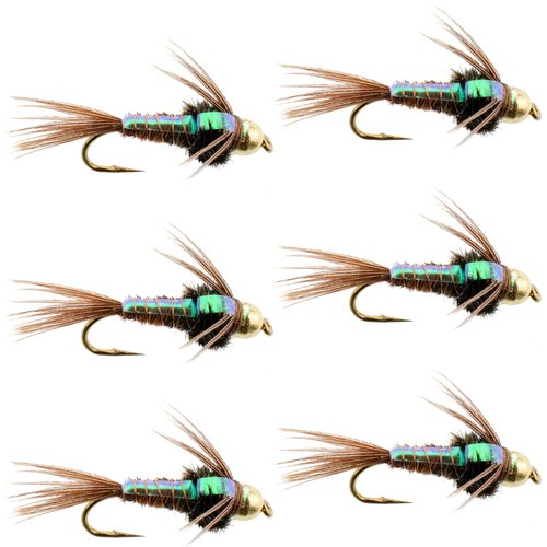 The Fly Fishing Place Bead Head Flash Back Pheasant Tail Nymph Fly Fishing Flies - Trout and Bass Wet Fly Pattern - 6 Flies Hook Size 16