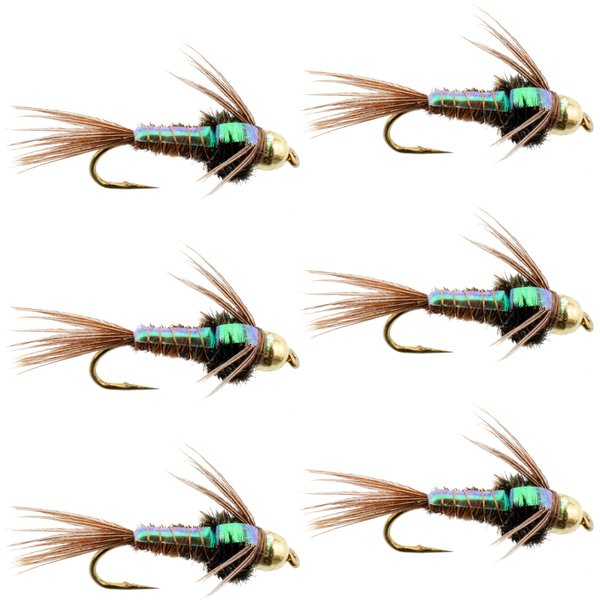 The Fly Fishing Place Bead Head Flash Back Pheasant Tail Nymph Fly Fishing Flies - Trout and Bass Wet Fly Pattern - 6 Flies Hook Size 16