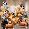 Jexine 146 Pcs Cowboy Birthday Party Decorations Western Party Balloon Garland Arch Kit Horse Balloons Cow Print Brown Blush Nude Balloons for Cowgirl Farm Horse Racing Derby Wild Party Baby Shower