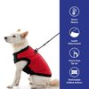 Gooby Fashion Vest Dog Jacket - Red, Small - Warm Zip Up Dog Bomber Vest with Dual D Ring Leash - Winter Water Resistant Small Dog Sweater - Dog Clothes for Small Dogs Boy or Medium Dogs