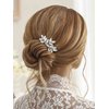 Catery Crystal Bride Wedding Hair Comb Hair Accessories with Rhinestone Bridal Side Combs for Women and Girls (A-SILVER)