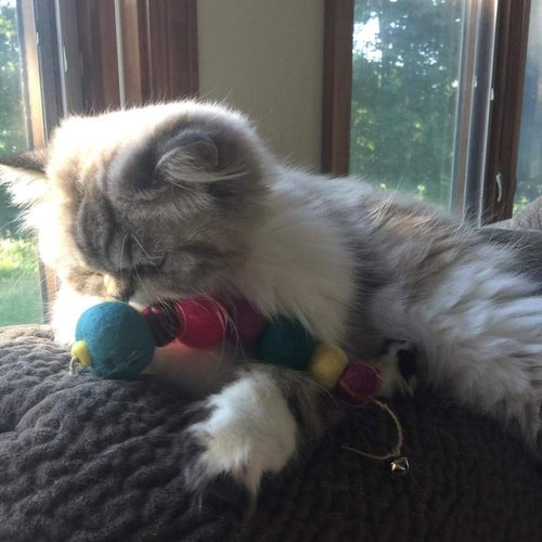 Honest Pet Products Eco-Catty Pillar - Handmade Natural Wool Cat Toy - Soft, Durable, and Rattling - Eco-Friendly Natural Cat Toys, No Catnip - Perfect Wool Cat Toys for Kittens