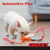 Chucky 9" Plush Toy for Dogs with Flattie Body| Medium Sized Squeaky Dog Toy, Dog Chew Toy with Squeaker | Horror Movie Toys for All Dogs, Official Dog Toy Product of Universal Chucky