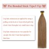 Rich Choices I Tip Hair Extensions Human Hair,100 Strands 0.5g/Strands,100% Real Remy Human Hair Extension Pre Bonded Keratin Stick In Hair Extensions Hair Piece For Women 16 Inch #12 Golden Brown