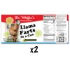 Llama Farts Novelty Soup Can Labels - FUNNY Joke Gift or Prank - Party Decorations, Supplies and Favors - Birthday, Xmas Stocking Stuffer, White Elephant Party, Secret Santa and More! (2)