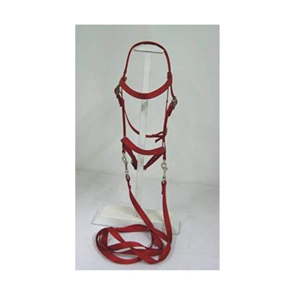 Party Ponies MINIATURE HORSE/SM PONY COMPLETE BITLESS BRIDLE - MANY COLORS! (RED)
