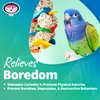 Super Bird Creations SB480 Starburst Bird Toy - Colorful Bird Toy for Medium Parrots, Cockatiels, Conures & Parakeets, Cockatiel Toy, Budgie Toys, Bird Toys, Bird Entertainment, Medium Birds, 10" x 4"