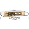 Case XX WR Pocket Knife Amber Bone Peanut Item #045 - (6220 SS) - Length Closed: 2 7/8 Inches