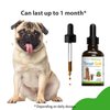 Pet Wellbeing Throat Gold for Dogs - Vet-Formulated - Soothes Throat Discomfort, Hoarseness, Leash Strain, Occasional Cough in Dogs - Natural Herbal Supplement 2 oz (59 ml)