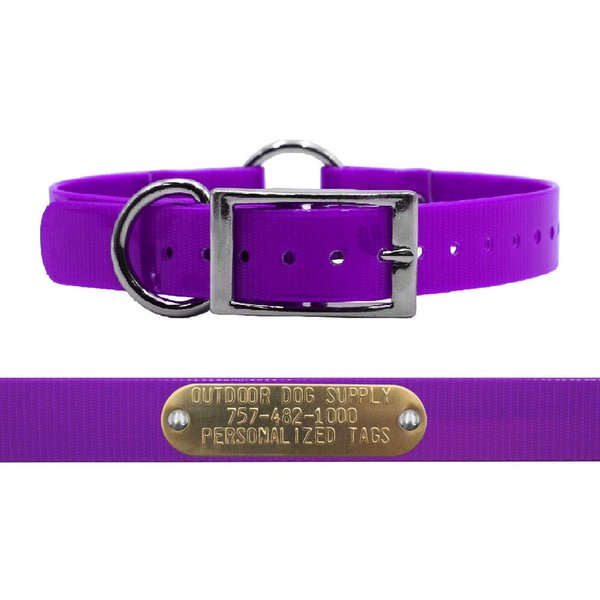 Outdoor Dog Supply's 1" Wide Solid Ring in Center Dog Collar Strap with Custom Brass Name Plate (18" Long, Purple)