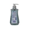 Dial Liquid Hand Soap, Coconut Water & Mango, 7.5 Fluid Ounces - 017000121581 017000121598