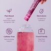 Blume SuperBelly Gut Health and On-The-Go Hydration Packets, Sugar-Free, with Prebiotics, Probiotics, Apple Cider Vinegar, Vitamin C, and Electrolytes, Açai Pomegranate, 15 Sticks