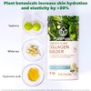 PlantFusion Vegan Collagen Powder - Plant Based Collagen Protein Powder For Muscle & Joints, Hair, Skin & Nails - Keto, Gluten Free, Soy Free, Non-Dairy, No Sugar, Non-GMO - Chocolate 11.43 oz