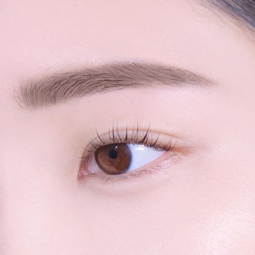 Espoir The Brow Easy Shaping Pencil # Classic Brown | Elaborately designed Leaf-shaped Eyebrow Pencil Tip for Quick and Easy to draw fine lines | Longlasting sharp tip and natural color