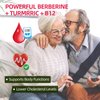 GrnLife Berberine Gummies with Ceylon Cinnamon 1500mg High Potency Berberine HCL Supplement for Immune and Metabolism Support, Sugar Free, Raspberry Flavor - 60 Count