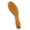 Natural Boar Bristle Body Brush with Wooden Handle by Spa Destinations for wet or dry brushing bath and shower