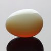 Opal Opalite 40 * 30mm Eggs with Wood Stand Stone Carved Natural Gemstone Bell Chakra Healing Crystal Reiki Crafts