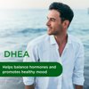 Ultra Botanicals Emerald Labs DHEA 25mg - Adrenal Support Supplement to Help Hormone Balance* - Includes DHEA - Gluten-Free - 60 Vegetable Capsules (30-Day Supply)