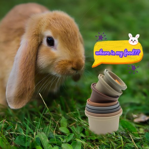 WOOVAN 8 Pcs Stacking Cups for Rabbits,Multi Colored Reusable Bunny Toys of Different Sizes, Safe Plastic Pet Nesting Toys, Chinchilla, Guinea Pig for Hiding Food and Playing