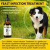 Yeast Infection Treatment for Dogs, Natural Dog Pets Herbal Supplement, Supports Dog Healthy Itch Relief, Ear Infection Treatment, Dogs Allergy Relief, Inflammation Relief